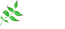 Paddington Clinic