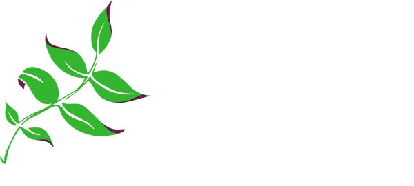 Paddington Clinic