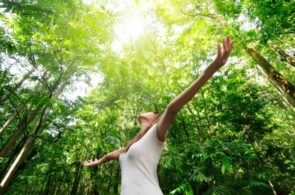 Living With The Seasons: Summer in Chinese Medicine HEALTHY MUM, HEALTHY CHILD. Parents’ Stress Leaves Lasting Marks On Children’s Genes, Researchers Find