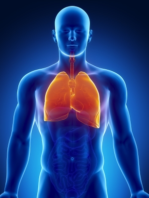 10 Unhealthy Things You Think Are Healthy But Aren't Human thorax organs with lungs and heart